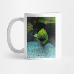 Crazy Fish Mug